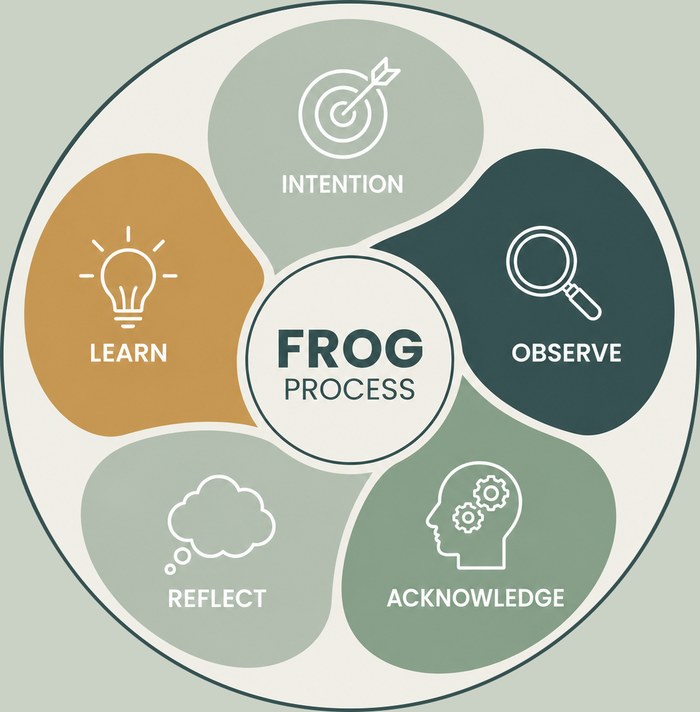 FROG procesas: Intention, Observe, Acknowledge, Reflect, Learn
